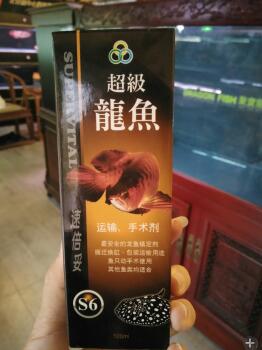 龙鱼麻药使用注意事项