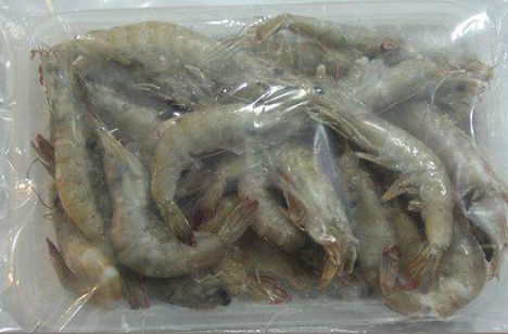 QQ图片20180925145953.png 龙鱼偏食了怎么办?如何快速改口?