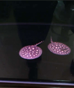 QQ图片20180929135740.png QQ图片20180929135740.png