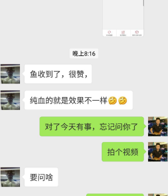 1.png 血墨红龙安全到达福建漳州